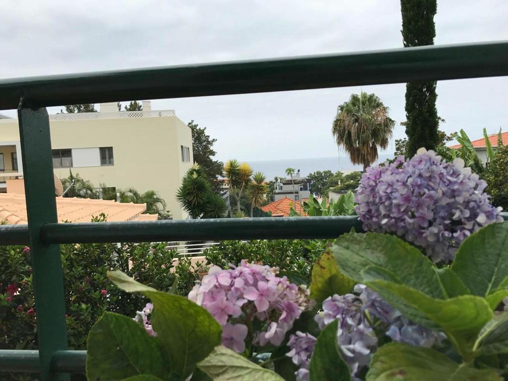 Monte Verde Funchal  Exterior photo
